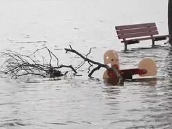 Flooding after Hurricane Sandy Stock Footage