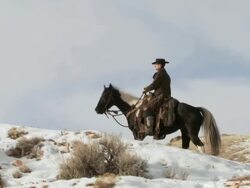 TS Cowboy riding a horse up a snowy ridge / Shell, Wyoming, United States Stock Footage