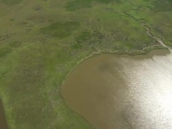 AERIAL WS View of delta gulf / New Orleans, Louisiana, United States Stock Footage