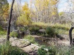 HD video autumn mountain biking along Bear Creek Colorado Stock Footage