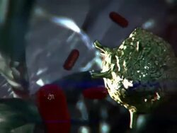 Close Up push-in push-out - A human body hosts an Acanthamoeba parasite in a computer-generated animation. Stock Footage
