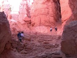 HD: Trekking in Bryce Canyon Stock Footage
