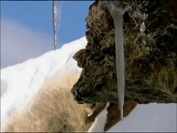 Icicles drip and fall from rock, snow and sky in background, Parque Natural Sierra Nevada, Andalucia, Spain Stock Footage