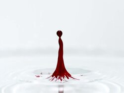Drop of Red Ink falling into Water against White background, Slow motion Stock Footage