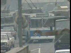 MS Tram makes its way through busy traffic, changes lanes, Moscow Stock Footage