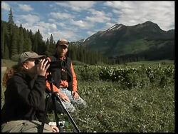 Scientists working in Colorado say they are seeing the effects of climate change on the local plants and wildlife News Clip