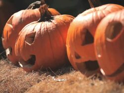 Halloween Pumpkins Stock Footage