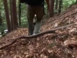 HD: Walking In The Forest Stock Footage