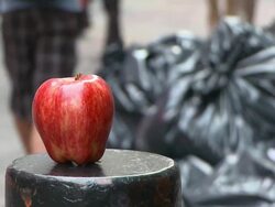 The Big Apple Stock Footage