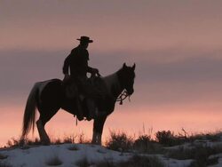 MS Cowboy riding horse at sunset / Shell, Wyoming, United States Stock Footage
