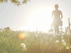 HD SUPER SLOW-MO: Backlit Shot Of A Woman With Dog Stock Footage