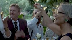 Guests toasting at wedding table Stock Footage