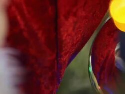boy decorates the Christmas tree Stock Footage