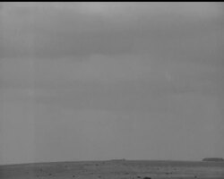 SERVICES ""AT HOME"" News Clip