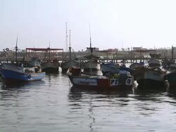 WS Shot of various boats on harbor / Paracas, Nazca, Peru Stock Footage