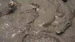 Crocodile feeding Stock Footage