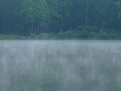 Misty Lake Stock Footage