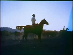 Montage: cowboy sunrise Stock Footage