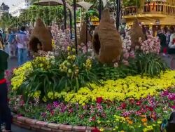MS T/L PAN View of People enjoying flower decorations during Tet (lunar new year) / Ho Chi Minh City, Southeastern, Vietnam Stock Footage