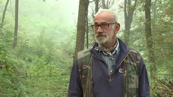 VOICED : Cultura de trufa italiana candidata a patrimonio de humanidad News Clip