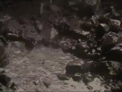 Evidence of Global Warming in Iceland Stock Footage