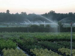 Irrigation systems in agriculture Stock Footage