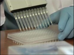 Bosnian lab helps to identify Hurricane Katrina victims News Clip