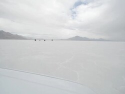 Slow motion of horses running. Stock Footage