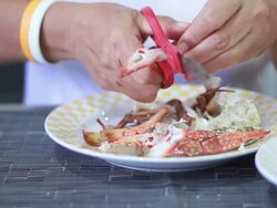 Claw Crab Stock Footage
