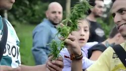 CLEAN : Colombia Medical cannabis treats 12 year-olds epilepsy News Clip
