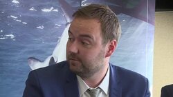 CLEAN : Conservationists say sustainable shark fishing is possible News Clip