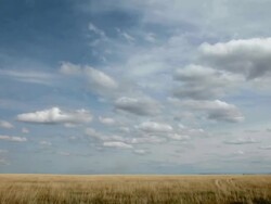 WS T/L View of Dramatic clouds on golden prairie with sun and shadows rolling across landscape / Augusta, Montana, United States Stock Footage