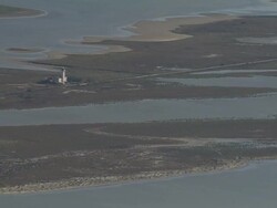 The Camargue Natural Reserve Stock Footage