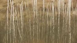 Water reflection Stock Footage