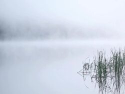 early morning fog on lake background Stock Footage