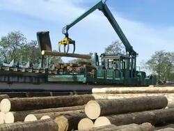 MS PAN Log moving through log lift crane in lumberyard at saw mill / Schweich, Rhineland Palatinate, Germany Stock Footage