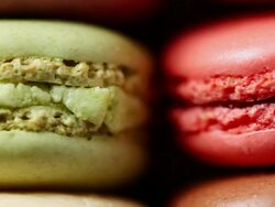 ECU PAN Colorful macaroon placed in row / Seoul, South Korea Stock Footage