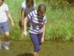 Children Crossing Creek Stock Footage