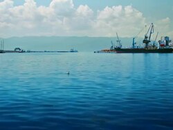 City sea Stock Footage