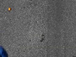 Marathon Stock Footage