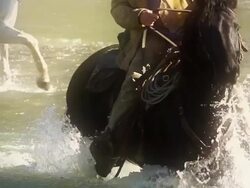 Cowboy on horseback Crossing river in slow motion Stock Footage