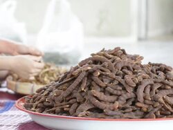 Tamarind Stock Footage