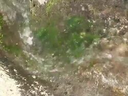 Water stream S shaped Stock Footage