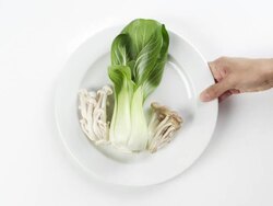 CU Woman hand entering setting down round white plate with bok choy, mushrooms and fungus specimens / Omaha, Nebraska, United States Stock Footage