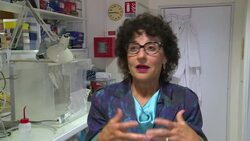 DNA shows early spread of cats in human world News Clip