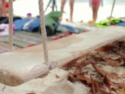 wooden swing on the beach Stock Footage