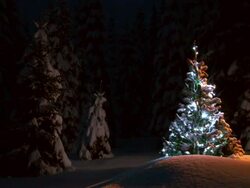 HD LOOP: Christmas Tree Stock Footage