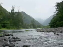 WS PAN View of waipio river flowing through valley while horse in background / Waipio, Waipio valely, Hawaii, The Big Island, USA Stock Footage