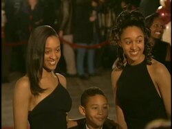 NAACP 28th Annual Image Awards Stock Footage