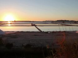 Mozia (Motya), sunset in the pools of salting Stock Footage
